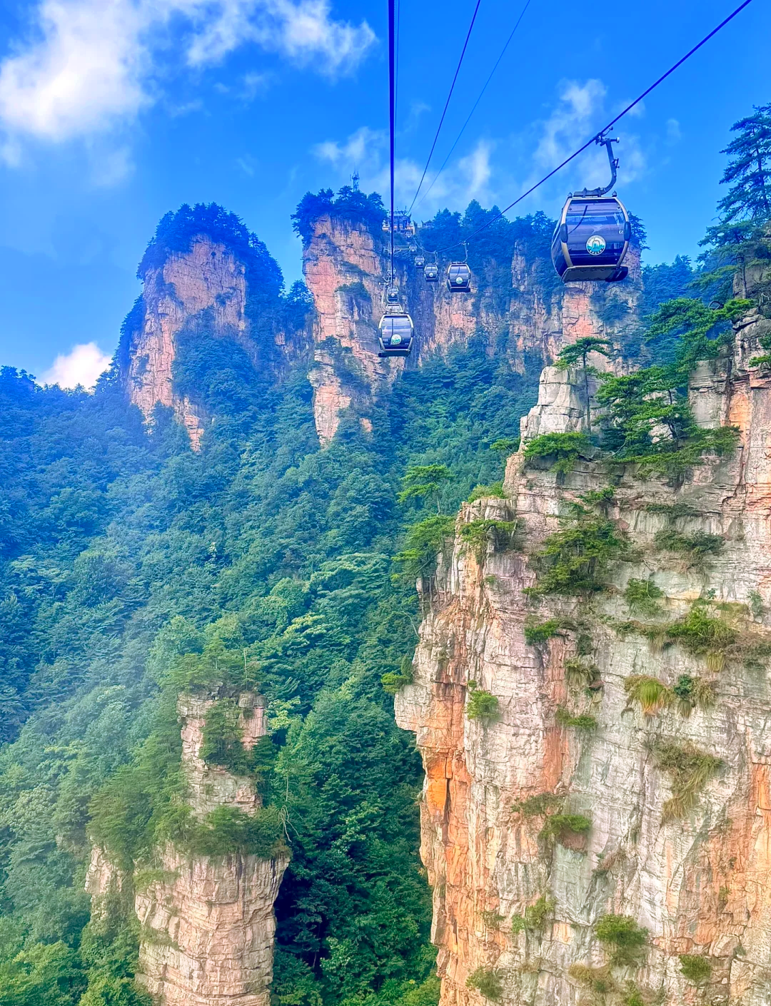 张家界旅游景点_张家界旅游景点主要有哪些 张家界旅游景点_张家界旅游景点主要有哪些