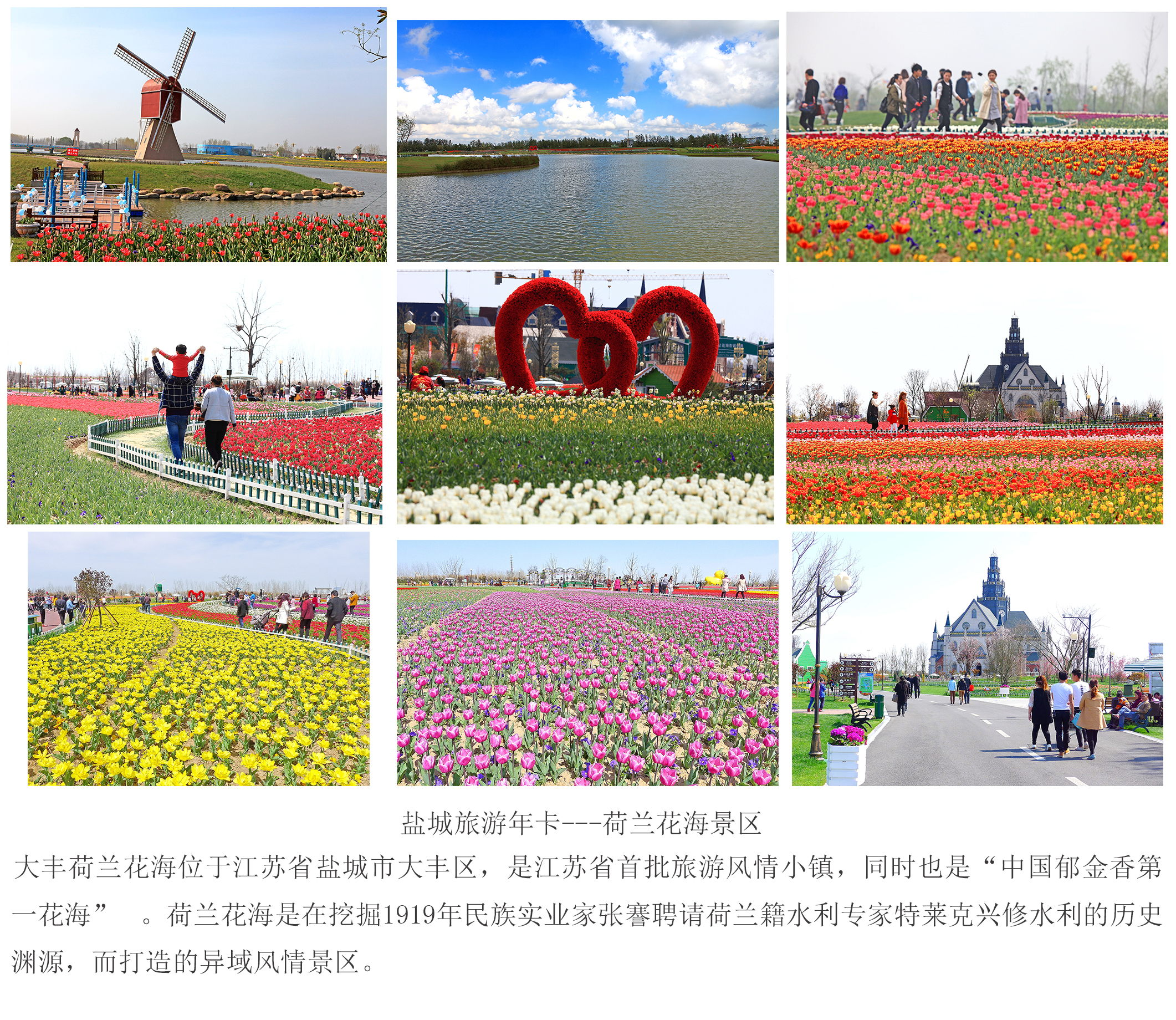 盐城旅游团_盐城旅游团报价 盐城旅游团_盐城旅游团报价