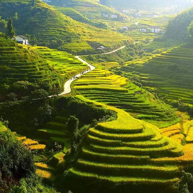 阳光旅游网_阳光旅游官网 阳光旅游网_阳光旅游官网