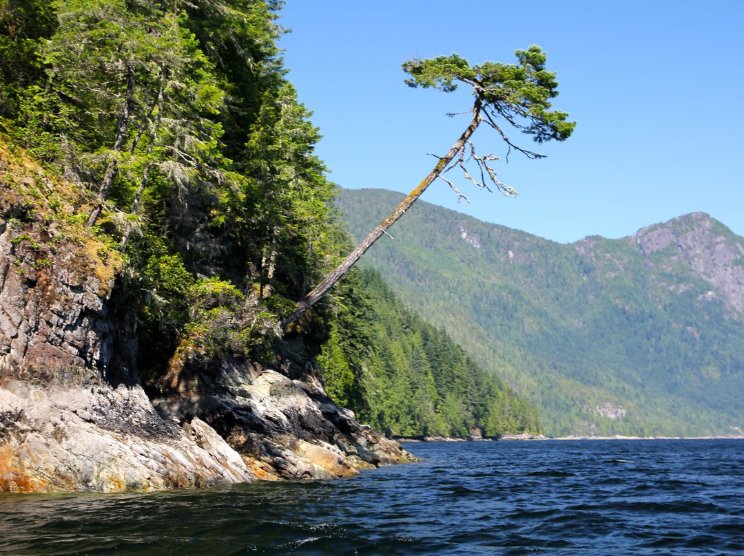阳光旅游网_阳光旅游官网 阳光旅游网_阳光旅游官网