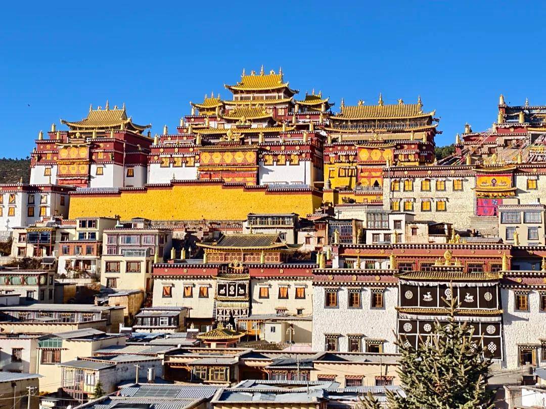 云南旅游社_云南旅行社红黑榜 云南旅游社_云南旅行社红黑榜