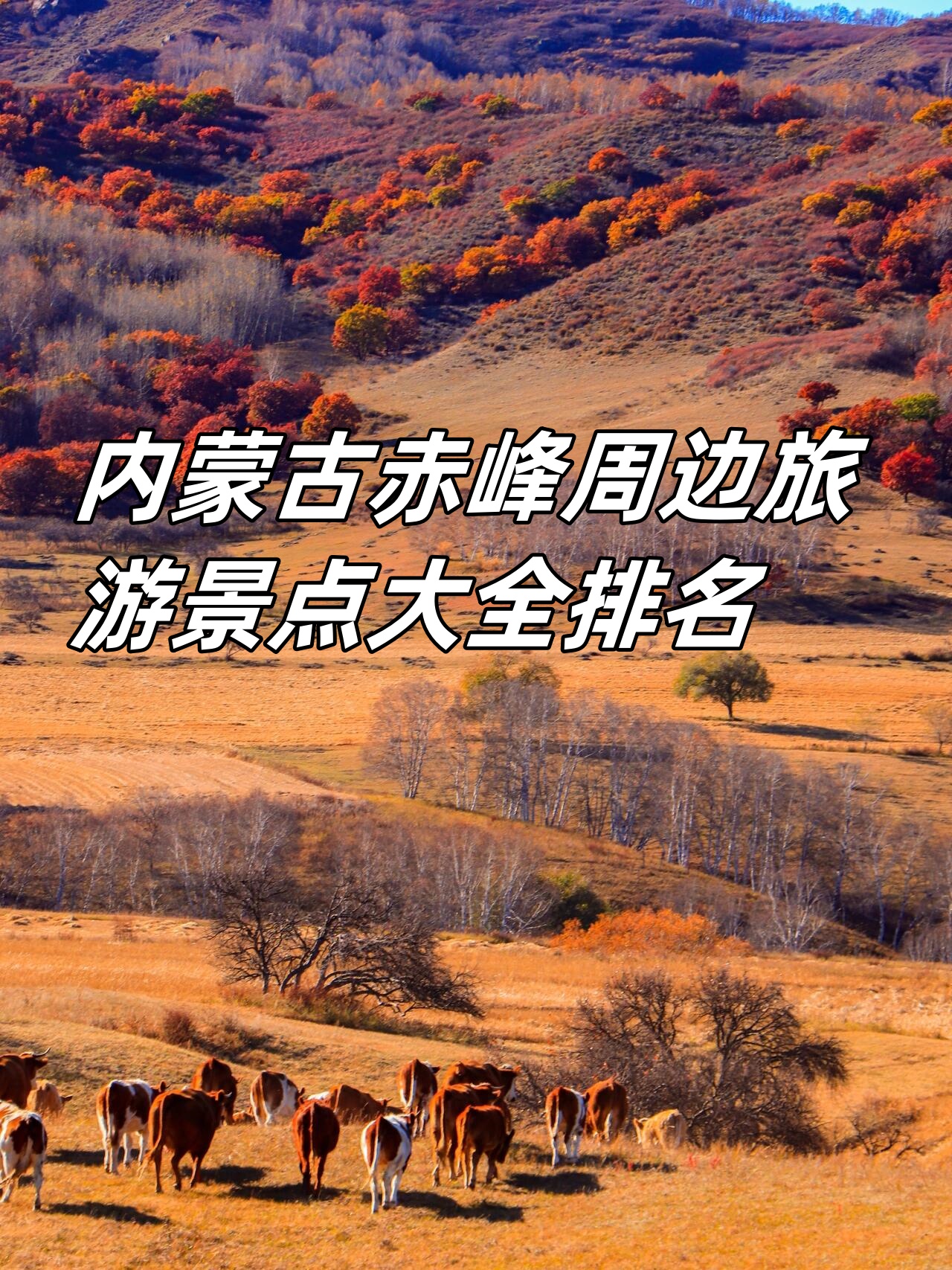 赤峰旅游网_赤峰旅游景点图