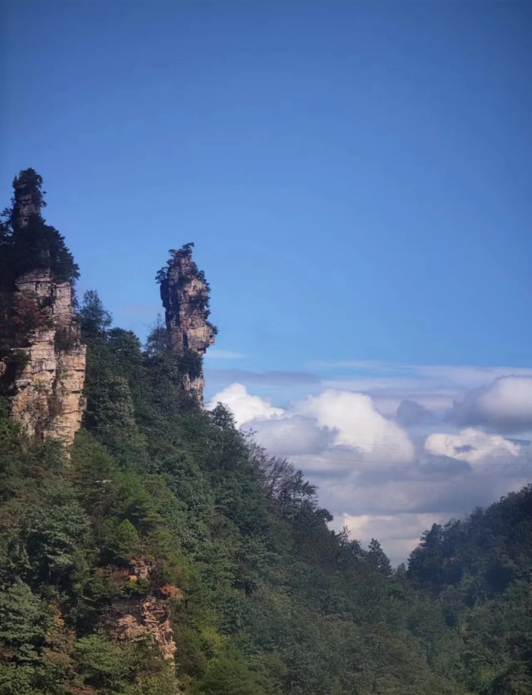 去张家界旅游_去张家界旅游报团好还是自由行好