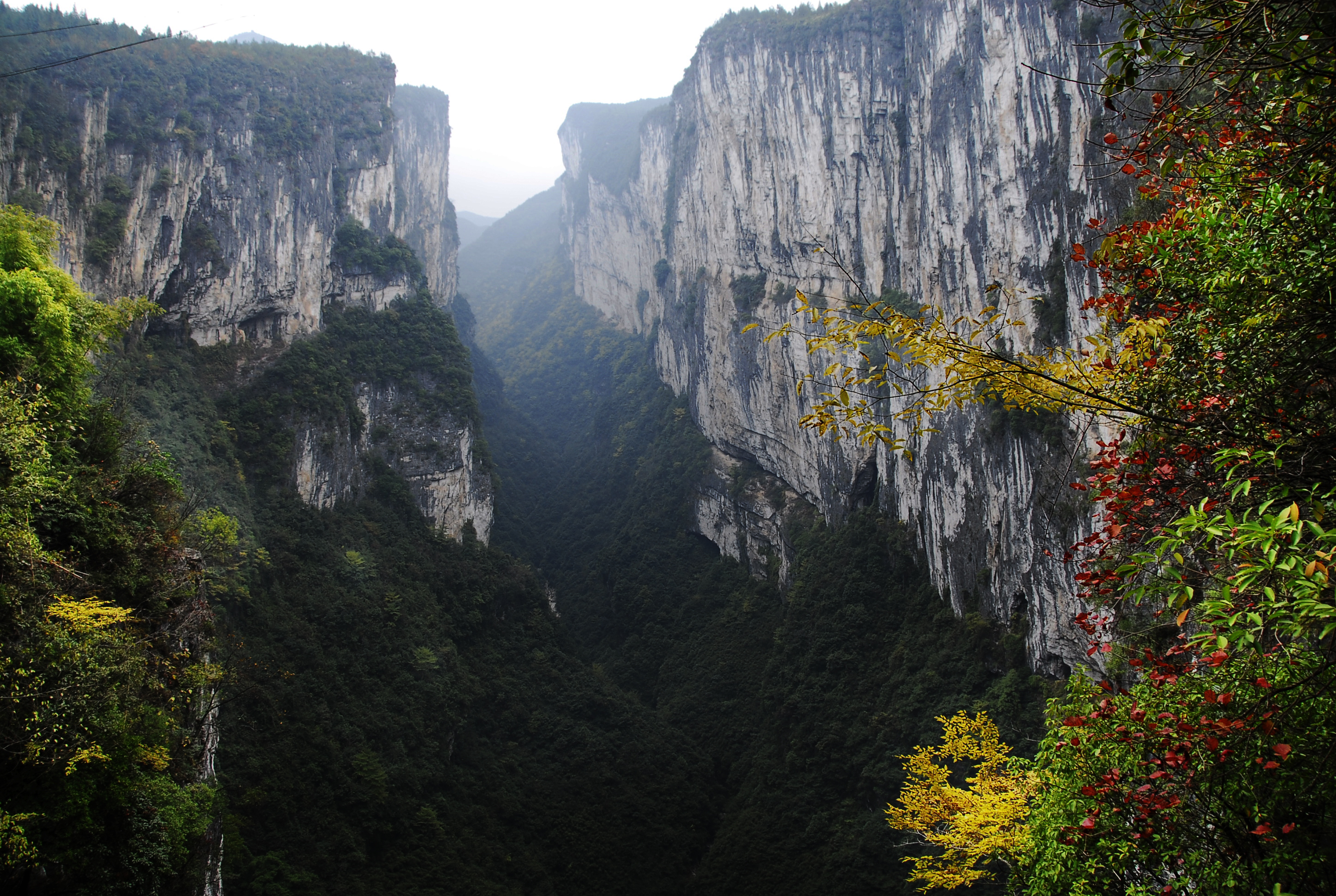利川旅游_利川旅游团 利川旅游_利川旅游团