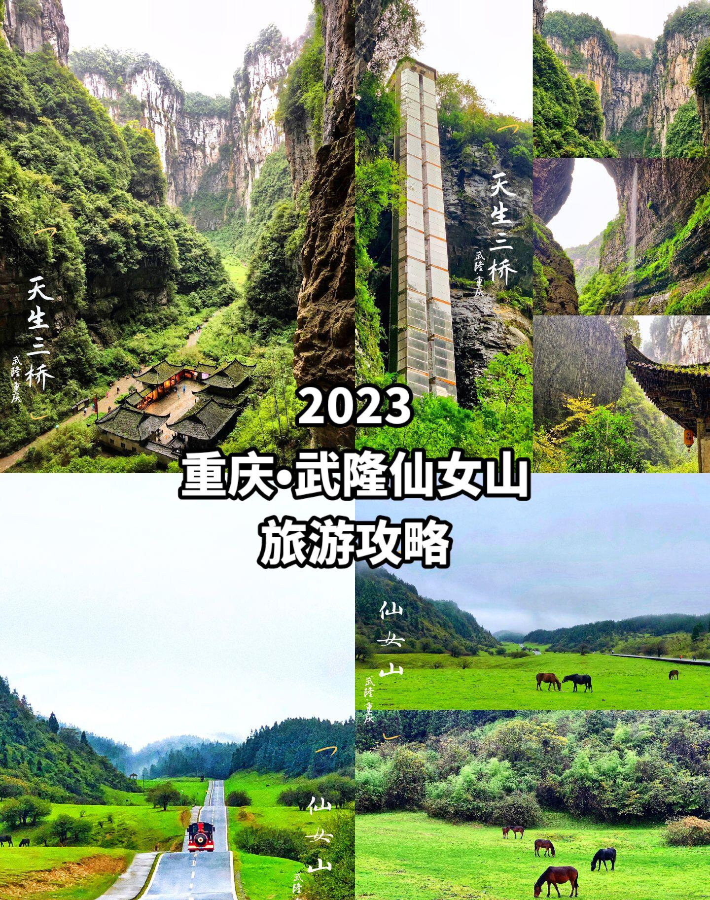 重庆仙女山旅游攻略_重庆仙女山旅游攻略路线 重庆仙女山旅游攻略_重庆仙女山旅游攻略路线