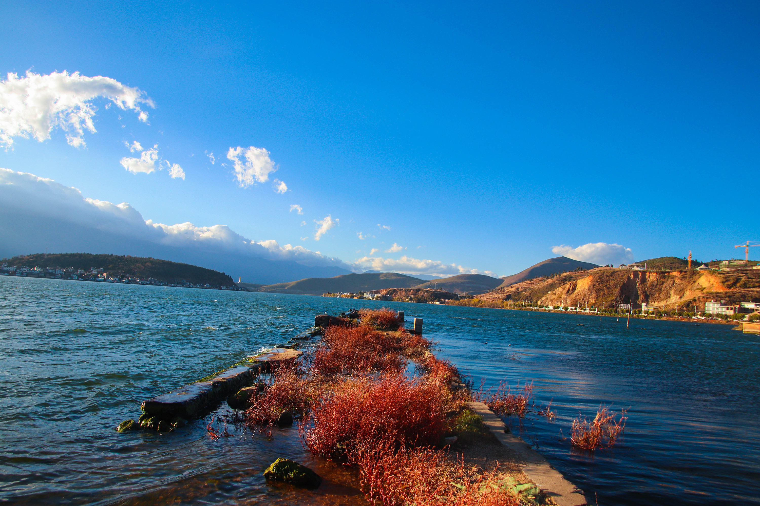 大理旅游_大理旅游集团领导班子 大理旅游_大理旅游集团领导班子