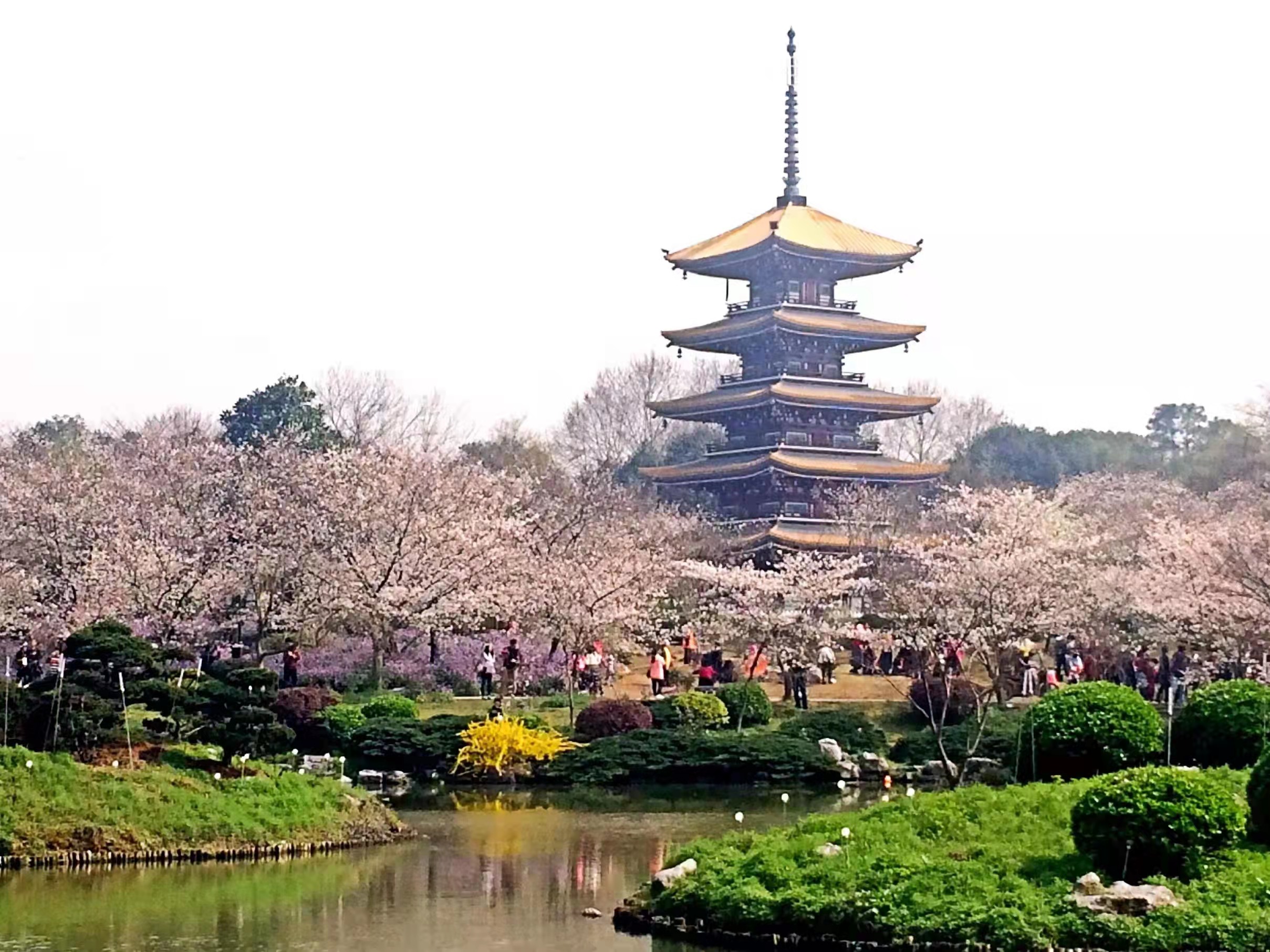 上海春秋旅游_上海春秋旅游门店地址 上海春秋旅游_上海春秋旅游门店地址