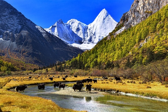 蚂蜂窝旅游攻略_蚂蜂窝旅游攻略甘南9日