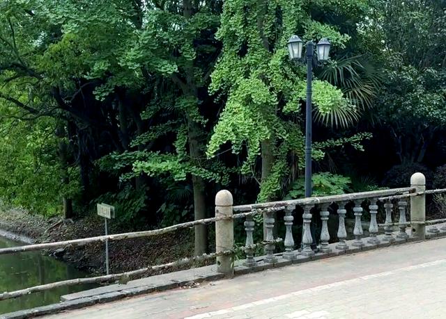 上海青青旅游世界_上海青青旅游世界的老板是谁