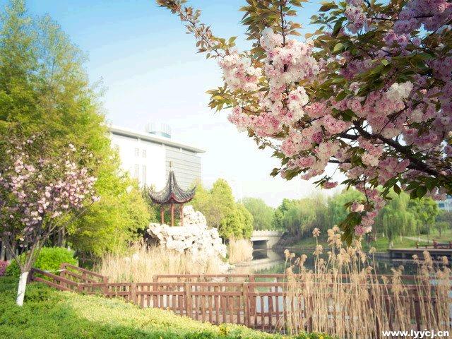 苏州旅游财经学校_苏州旅游财经学校学费