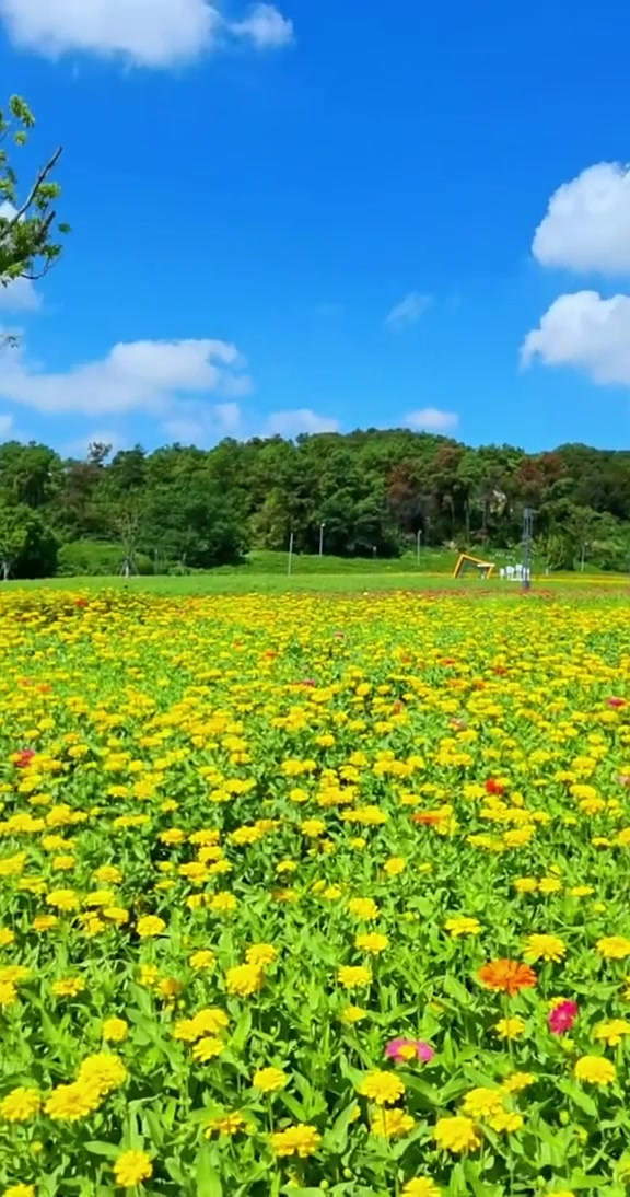 秋季旅游_秋季旅游景点排行榜前十名