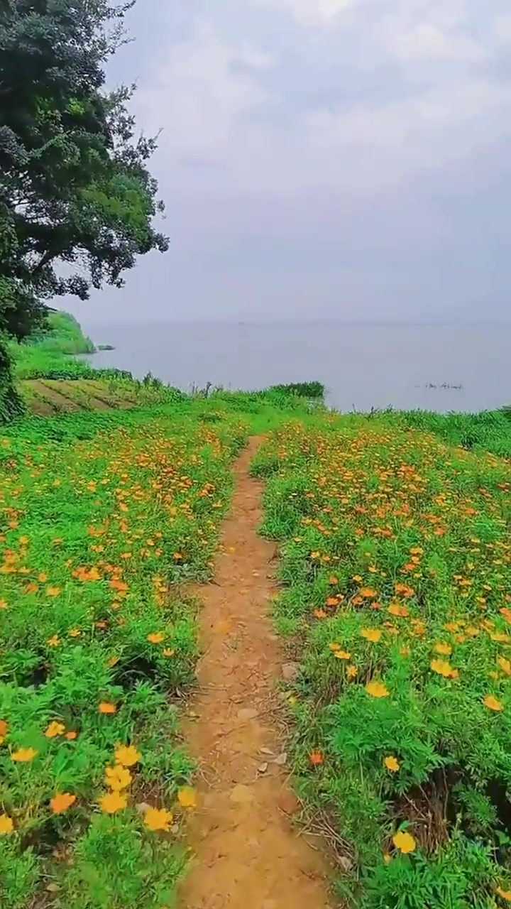 秋季旅游_秋季旅游景点排行榜前十名