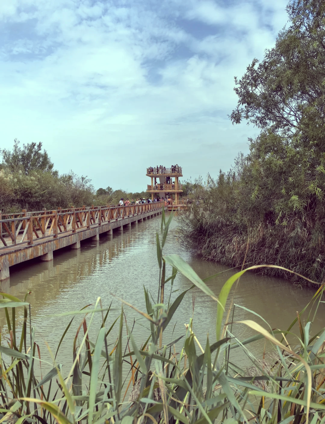 东营旅游景点_山东东营旅游景点 东营旅游景点_山东东营旅游景点