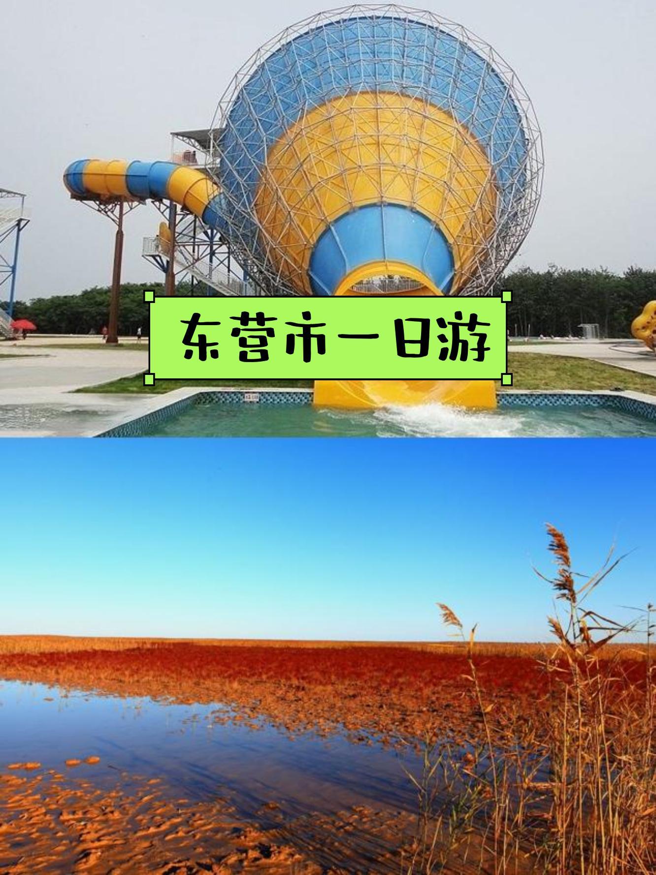 东营旅游景点_山东东营旅游景点 东营旅游景点_山东东营旅游景点