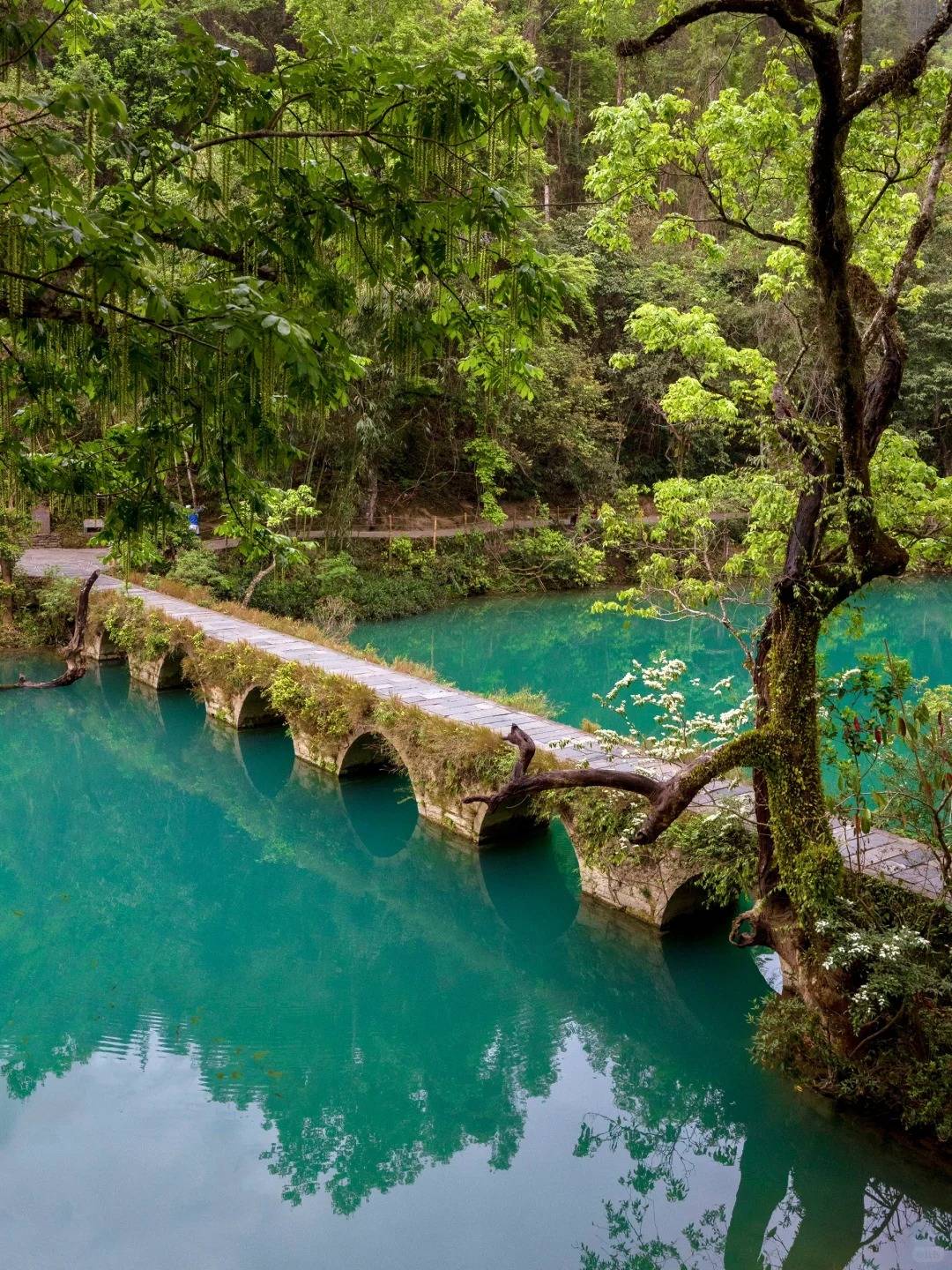 贵州荔波旅游攻略_贵州荔波旅游景点门票