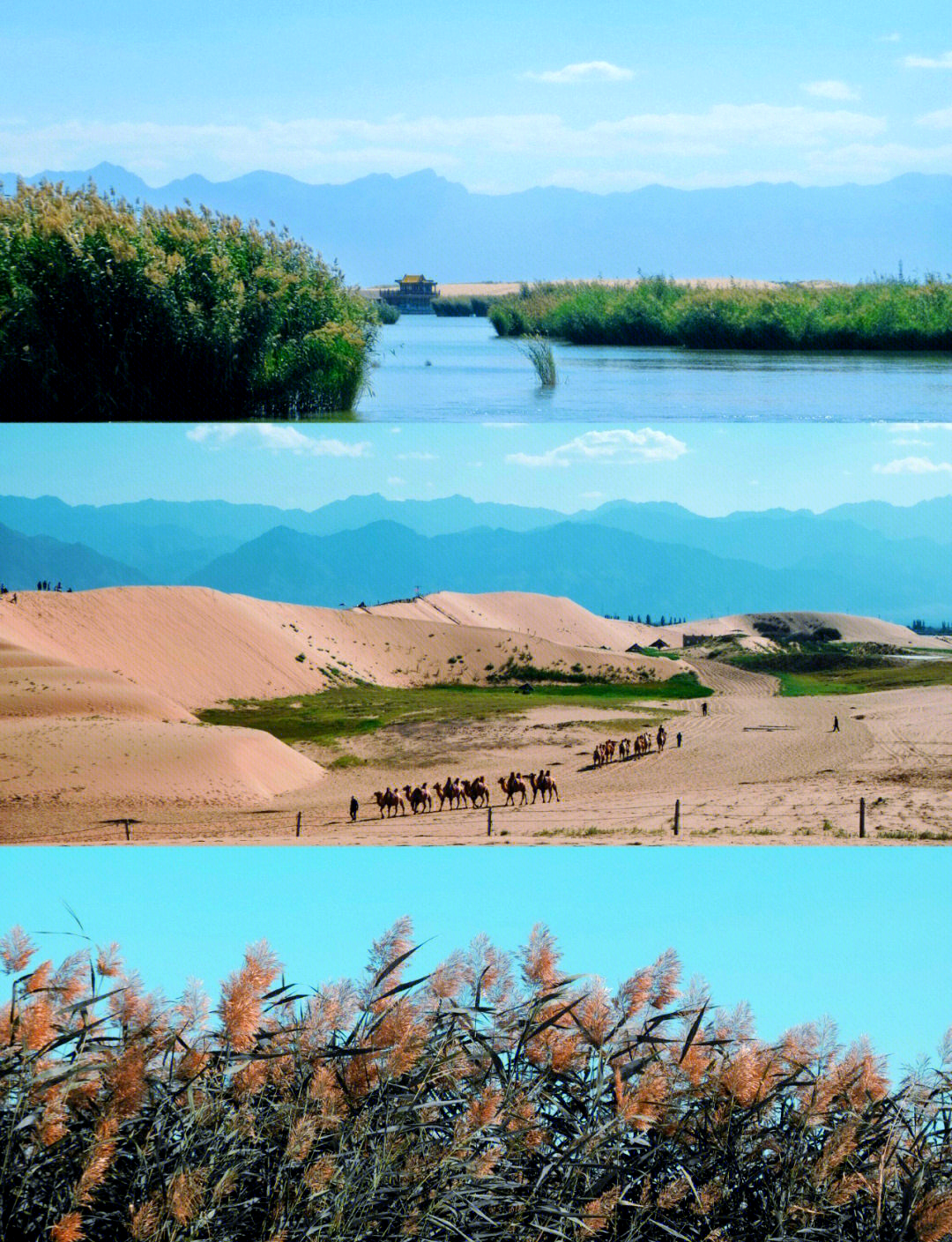 银川旅游_银川旅游景点十大排名 银川旅游_银川旅游景点十大排名