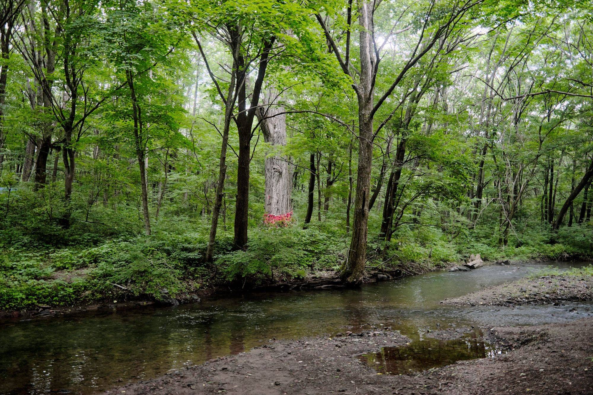 夏天旅游好去处_夏天旅游好去处十大必去景点