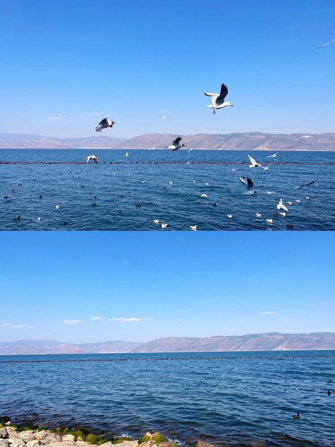 云南旅游图片_云南旅游图片真实 云南旅游图片_云南旅游图片真实