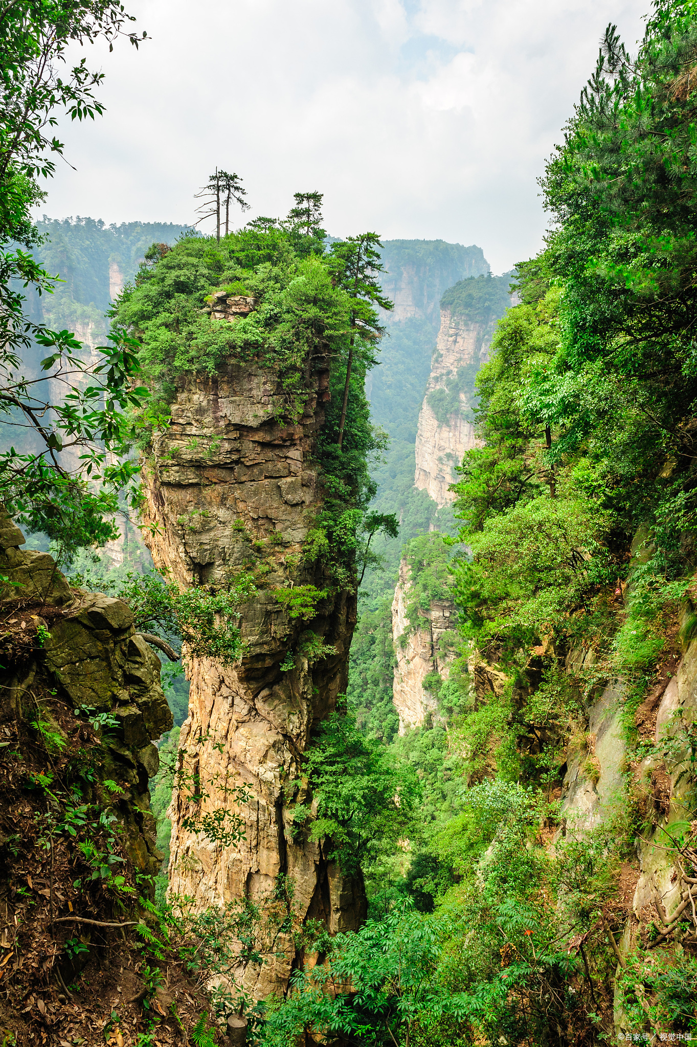 春天去哪里旅游好_春天去哪旅游比较适合 春天去哪里旅游好_春天去哪旅游比较适合