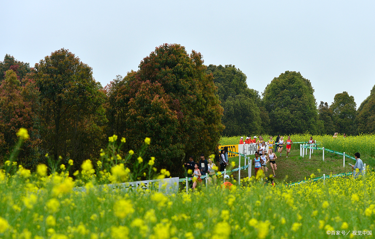 春天去哪里旅游好_春天去哪旅游比较适合 春天去哪里旅游好_春天去哪旅游比较适合