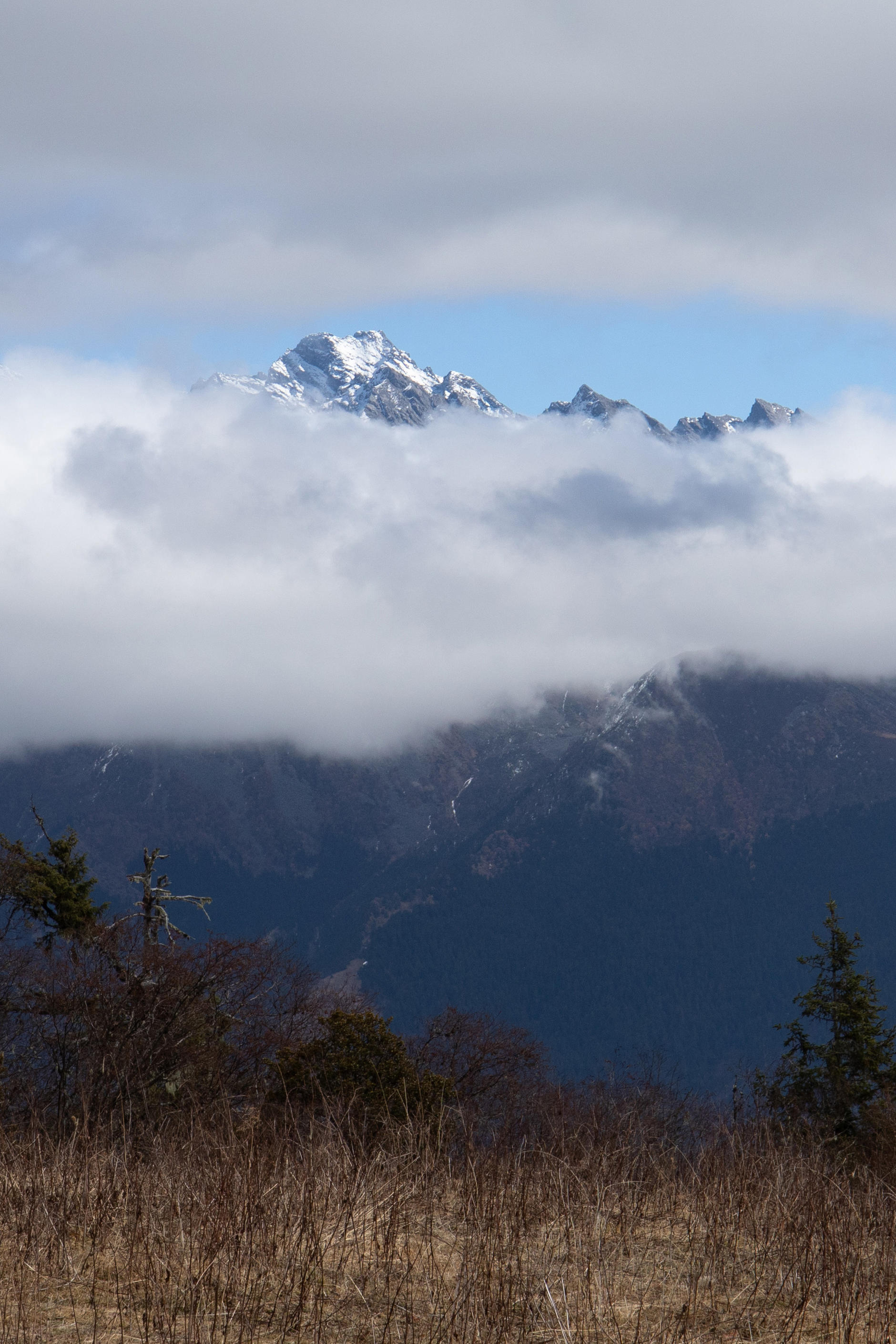 米亚罗旅游攻略_古尔沟米亚罗旅游攻略