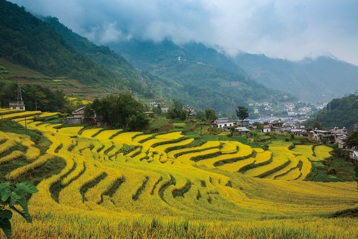 乡村旅游_乡村旅游发展 乡村旅游_乡村旅游发展