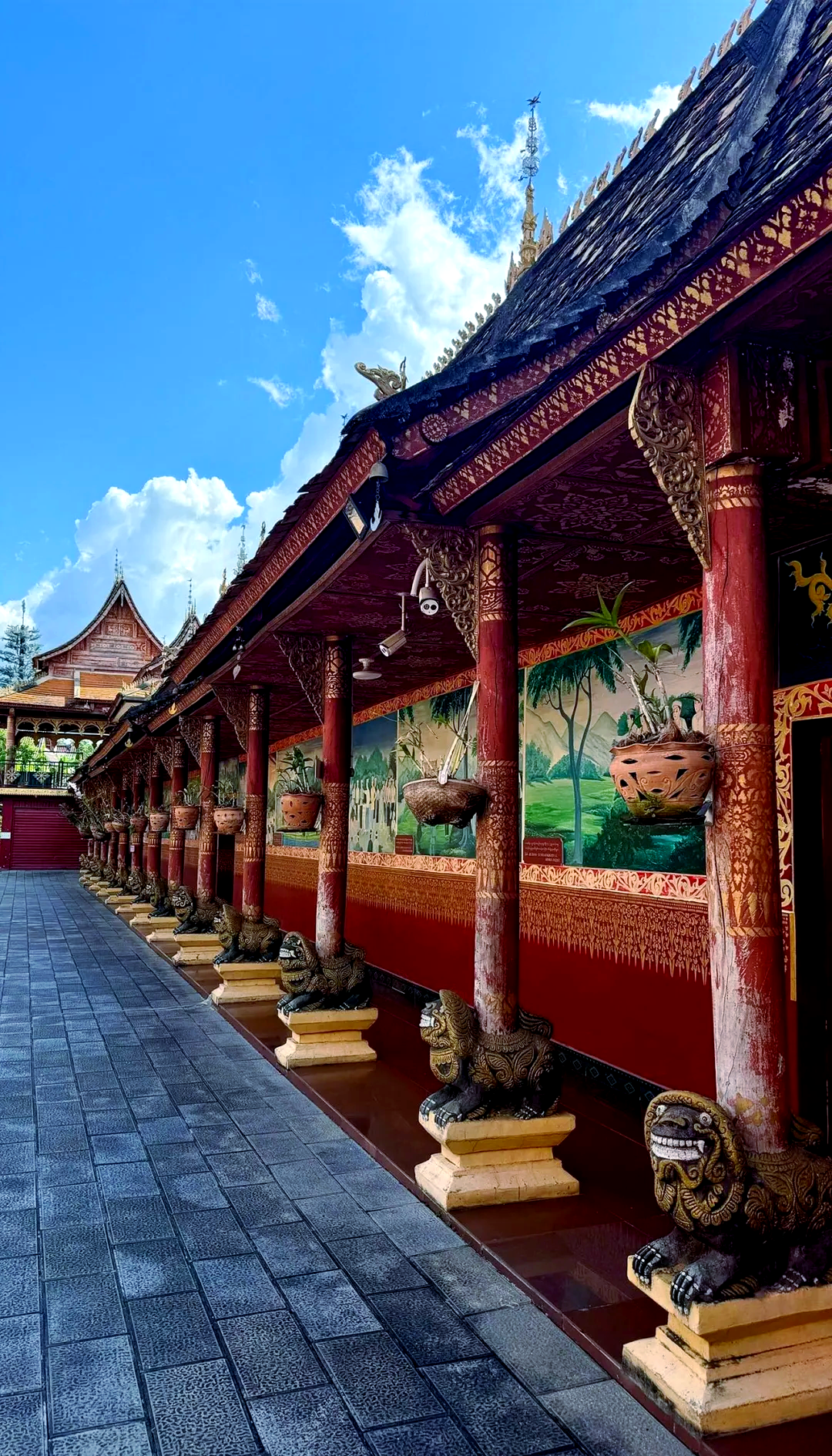 去西双版纳旅游_去西双版纳旅游注意事项有哪些 去西双版纳旅游_去西双版纳旅游注意事项有哪些