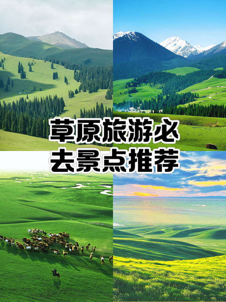 草原旅游景点_草原旅游景点氛围大全图片