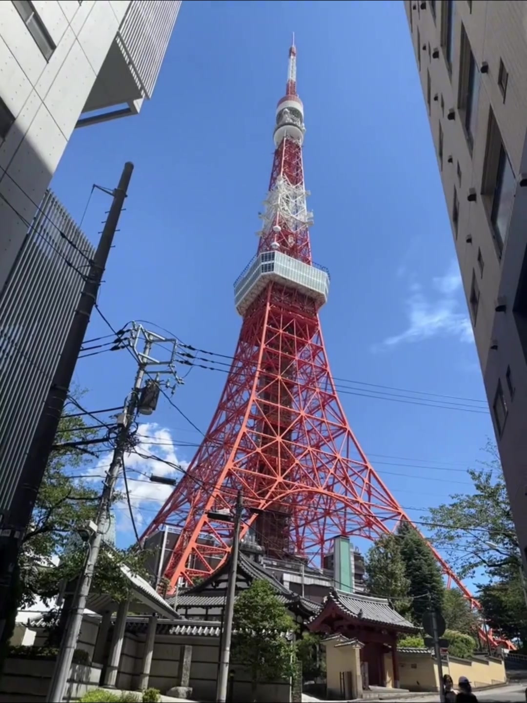 东京旅游_东京旅游文案 东京旅游_东京旅游文案