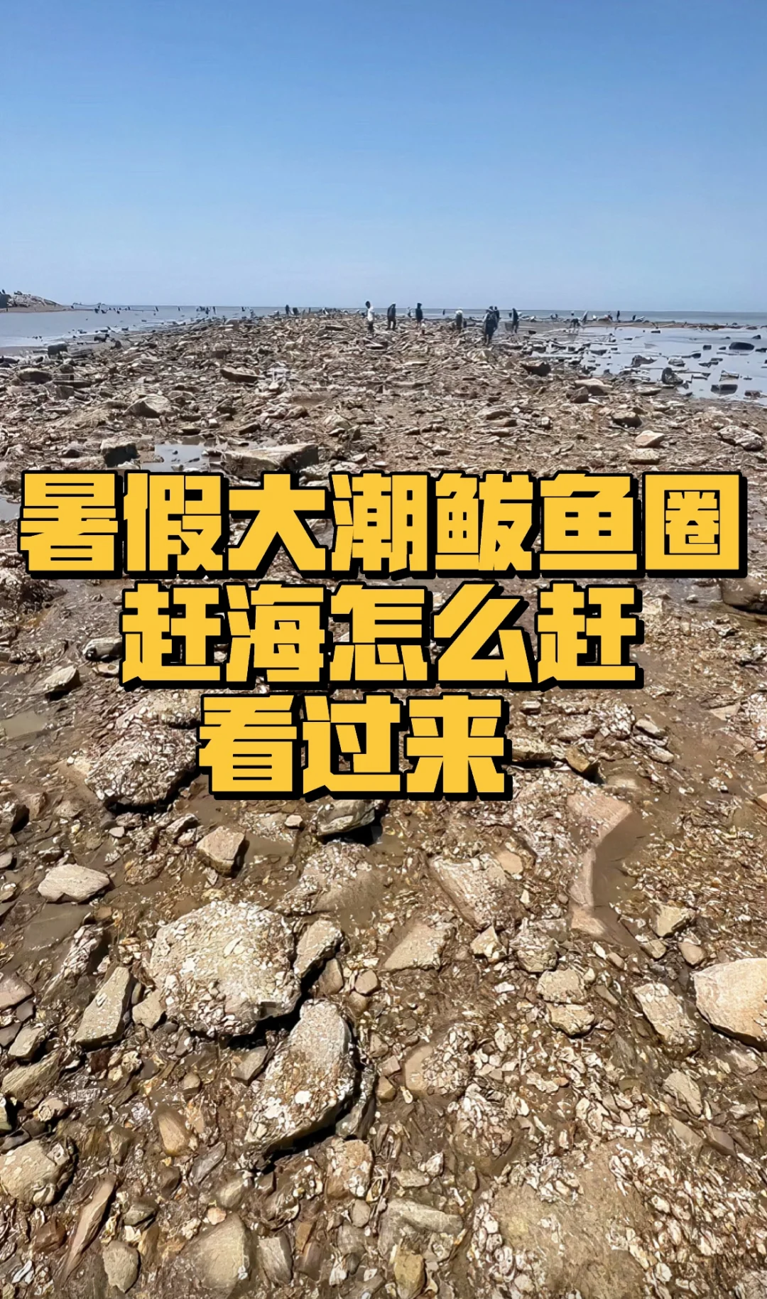 鲅鱼圈旅游攻略_辽宁营口鲅鱼圈旅游攻略