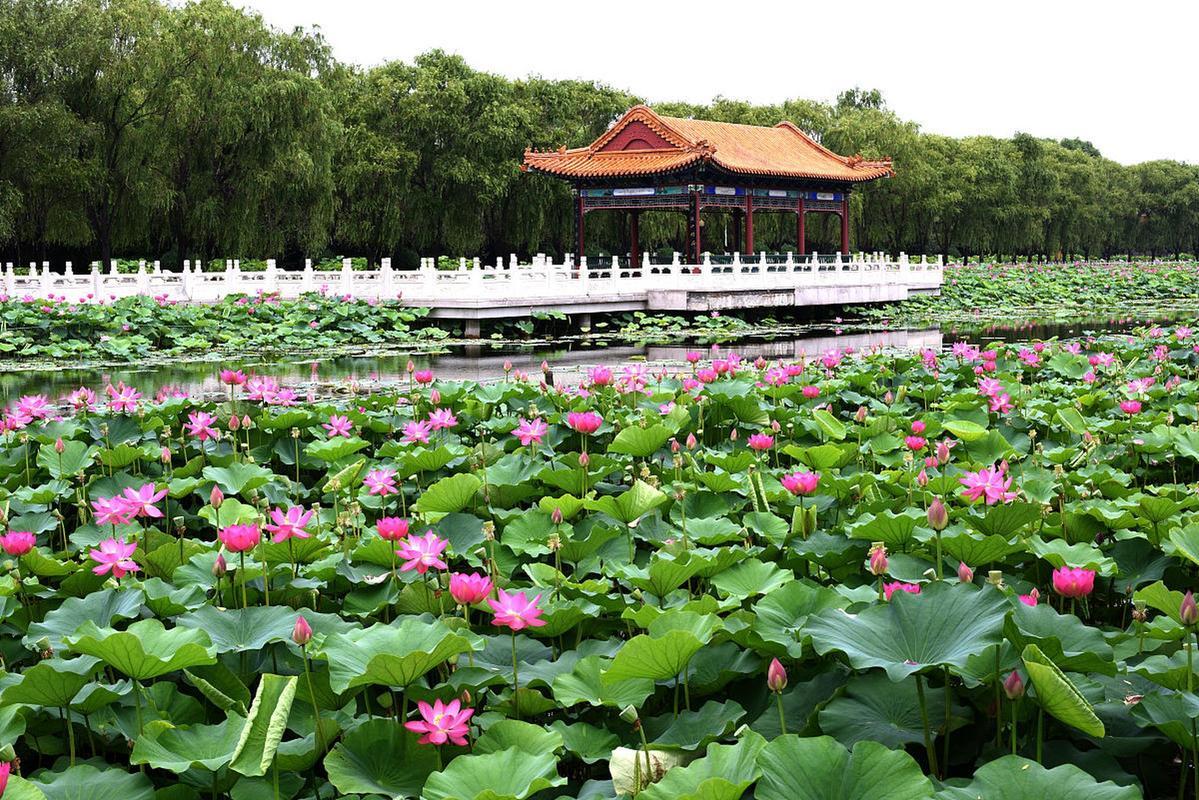 莲花县旅游_莲花县旅游宣传语