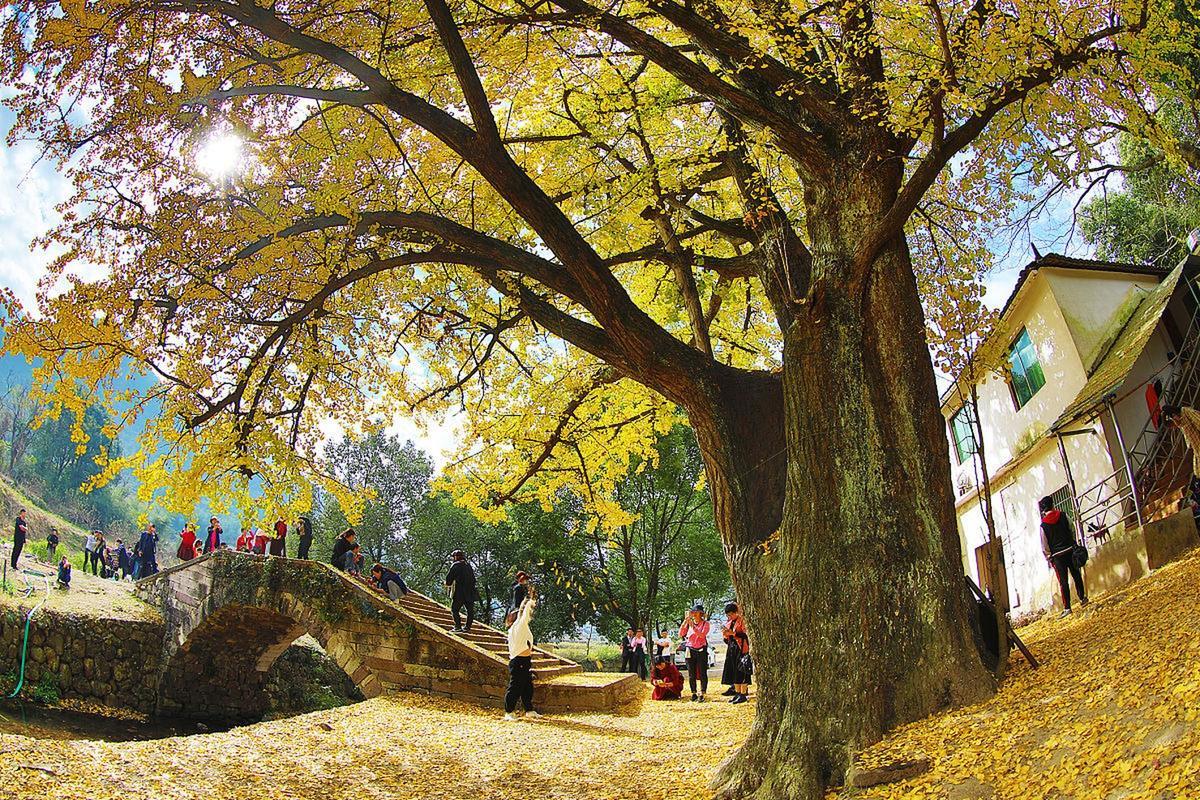 南雄旅游_南雄旅游团报名一日游