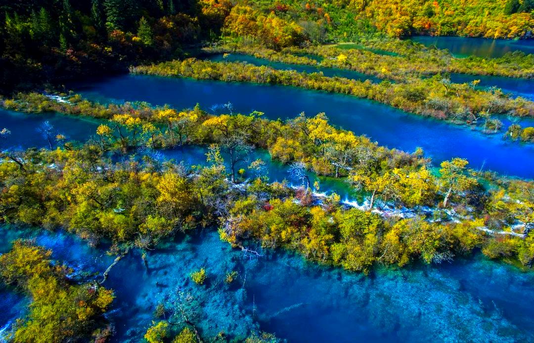 九寨沟国际旅游网_九寨沟网络国际旅行社有限责任公司