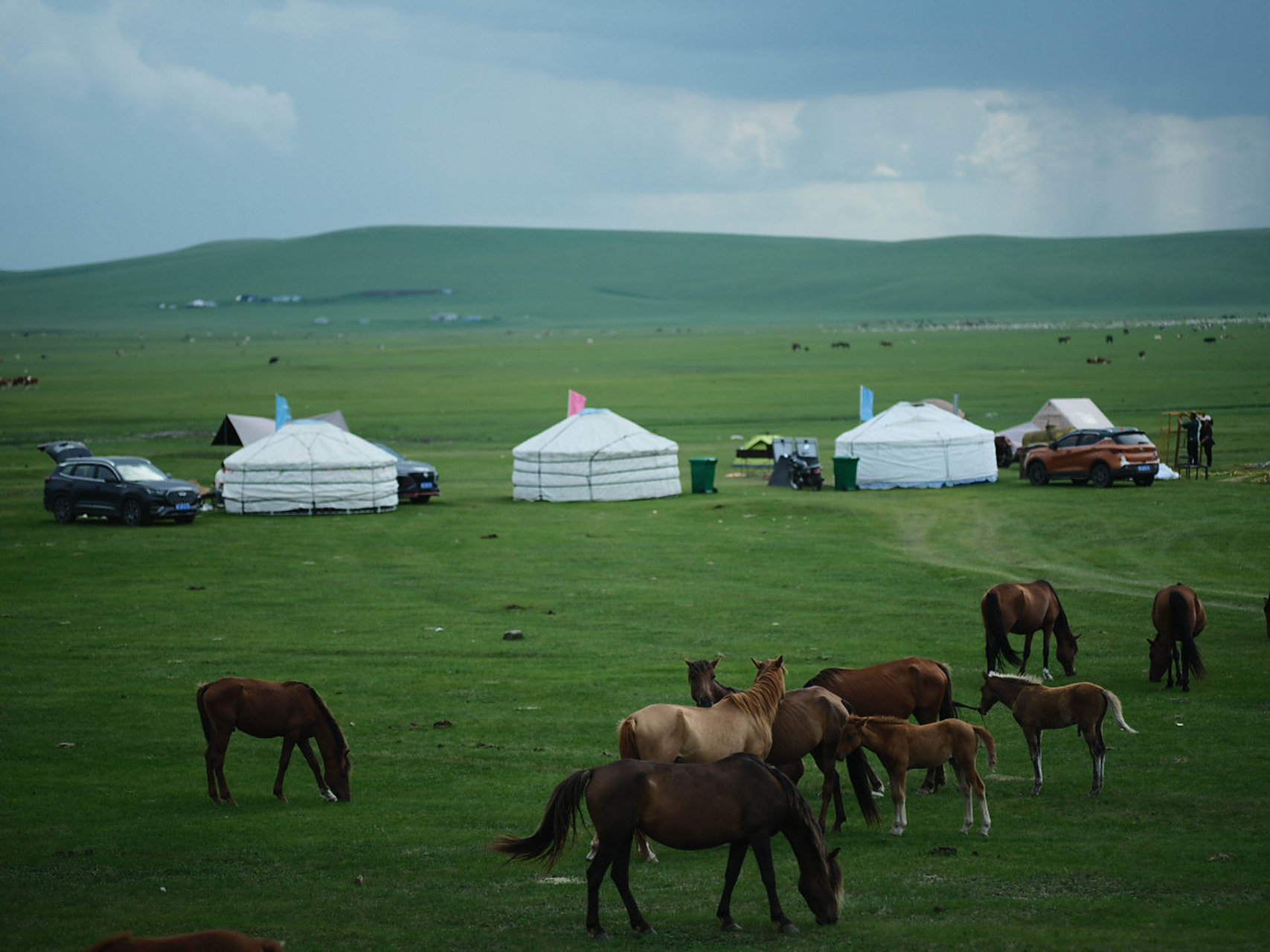 内蒙古草原旅游_内蒙古草原旅游最佳时间