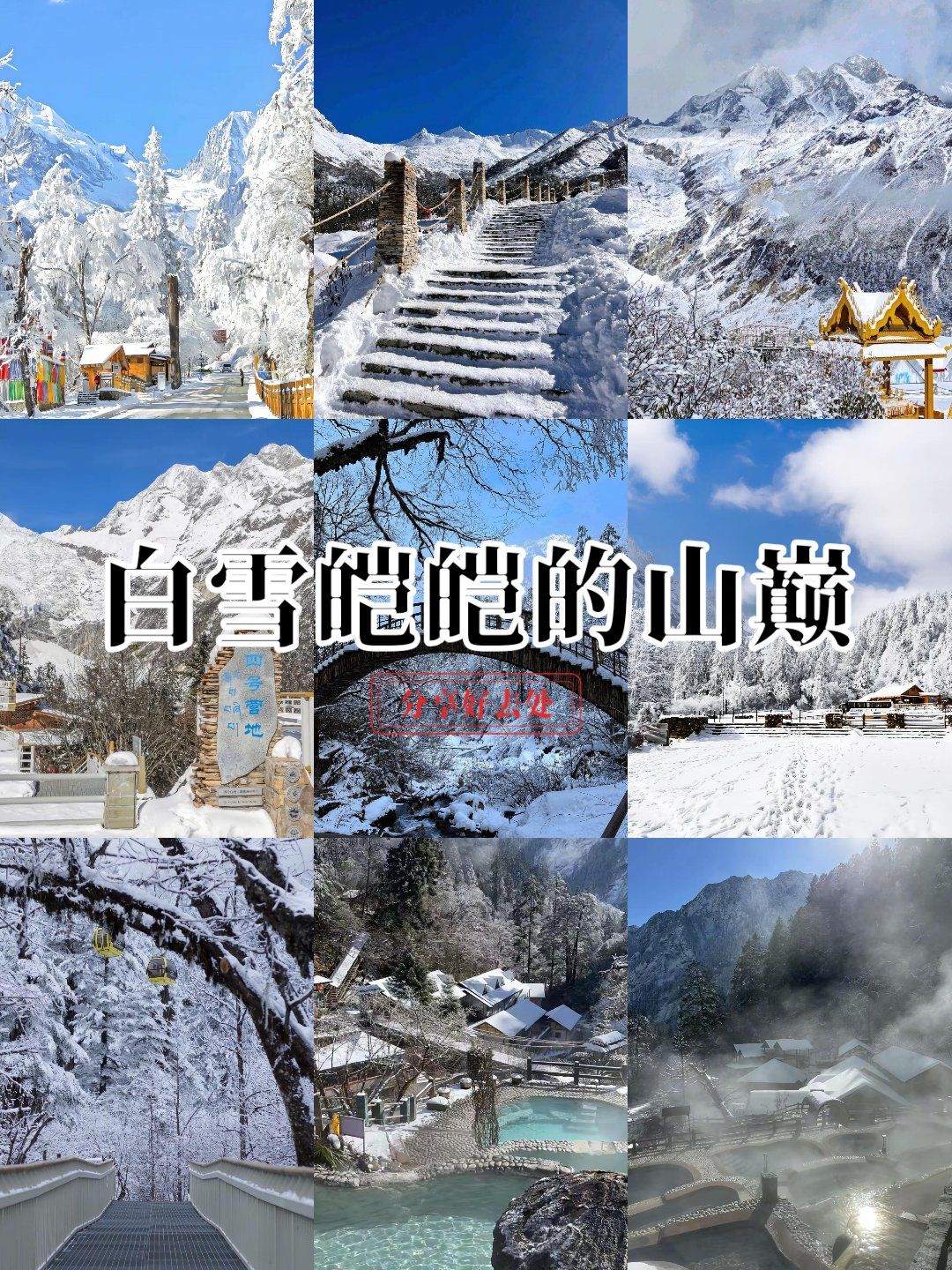 旅游业现状_2025旅游业现状