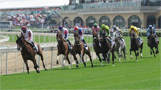 金马旅游_金马旅游平台官方网站