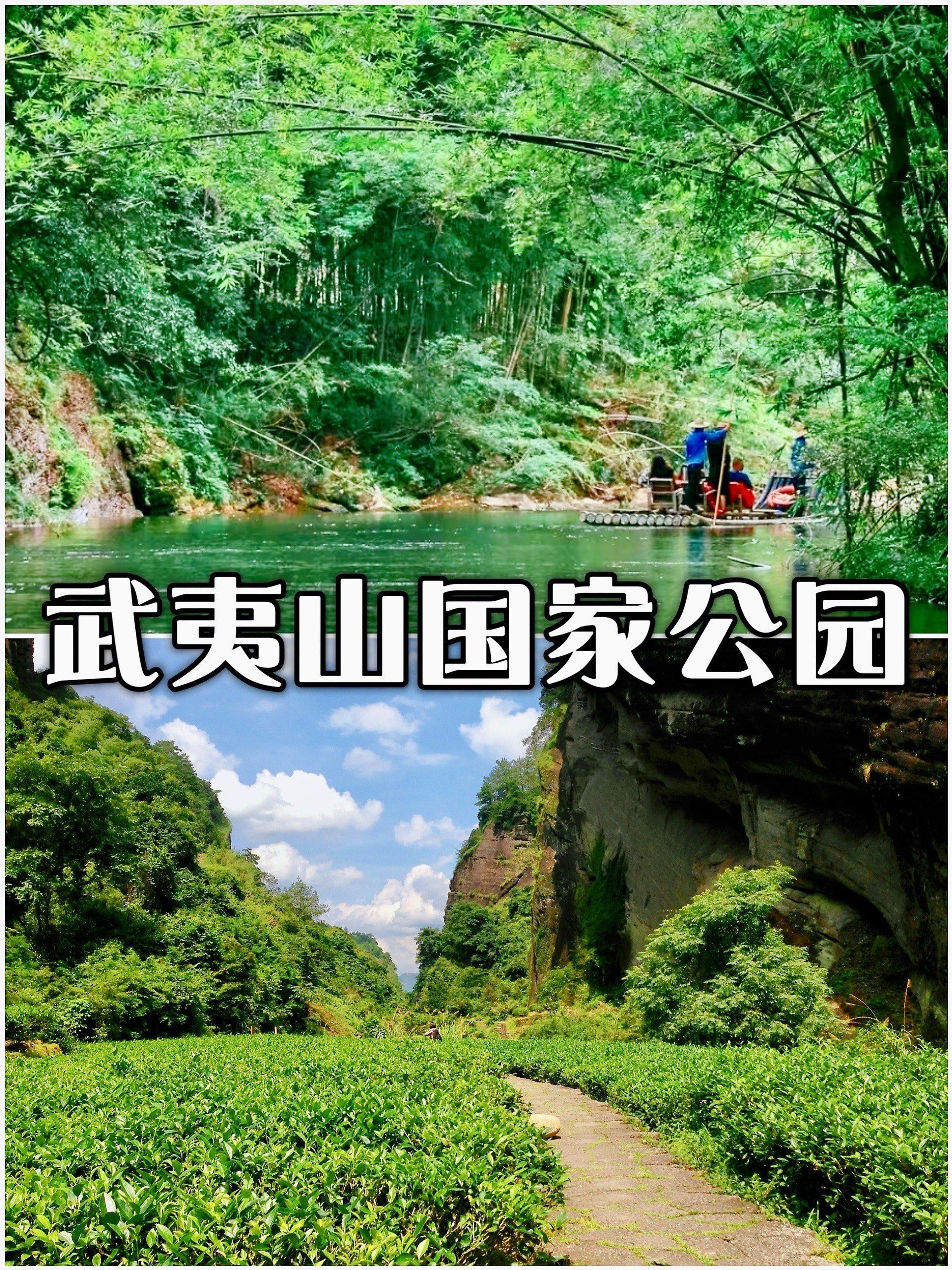 武夷山旅游网_武夷山旅游景区官网