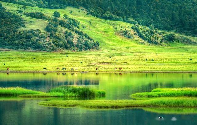 避暑旅游_避暑旅游省钱小技巧