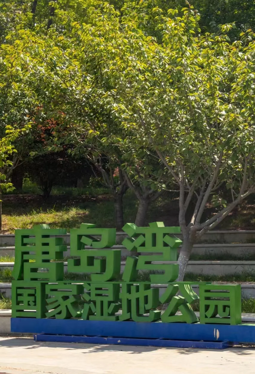 青岛旅游景点图片_青岛旅游必去十大景点