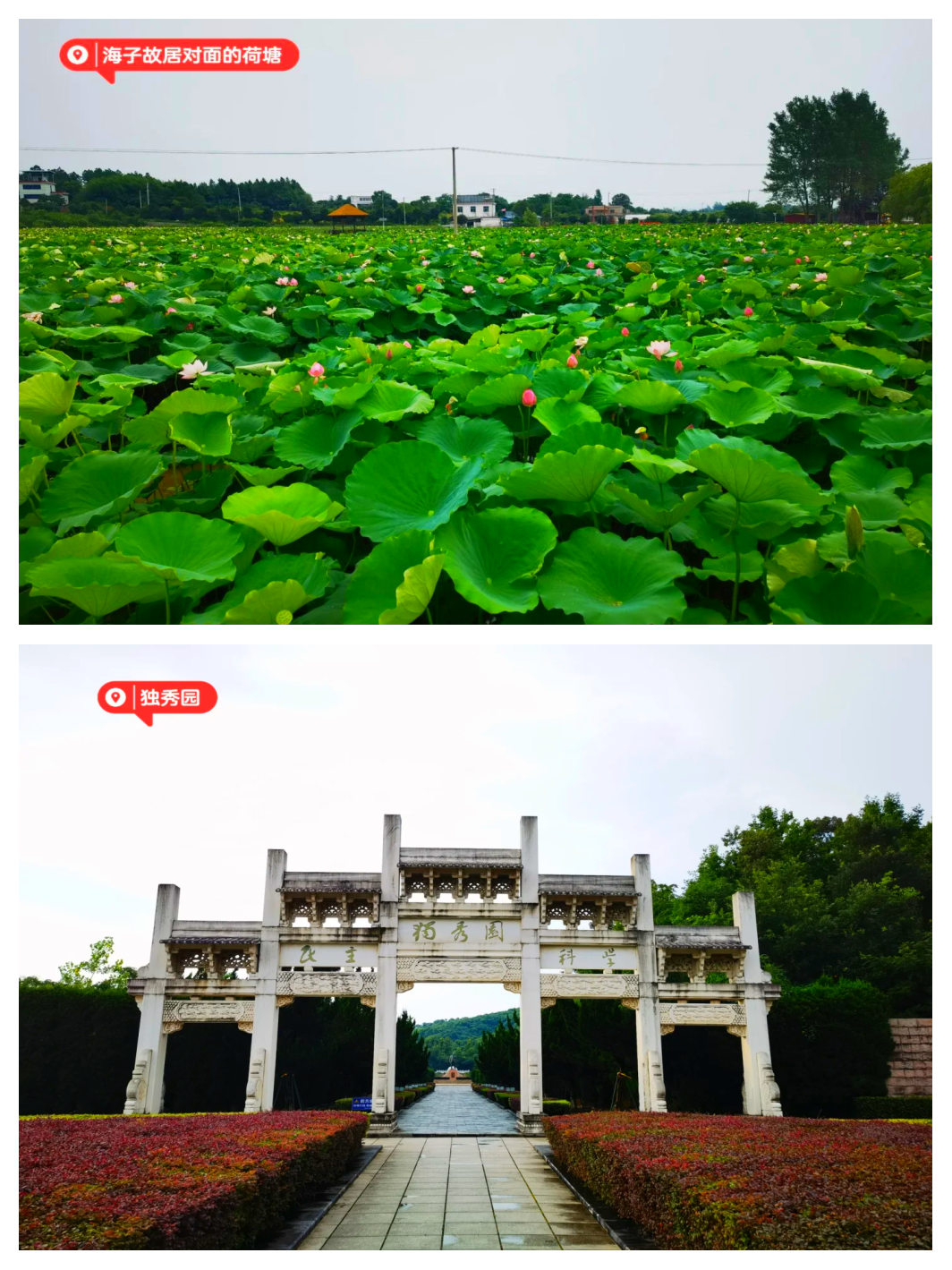 桐城旅游_桐城旅游攻略必去景点推荐