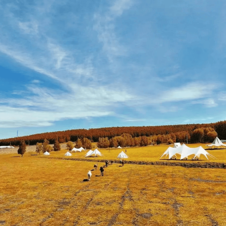 阿尔山旅游_阿尔山旅游路线图