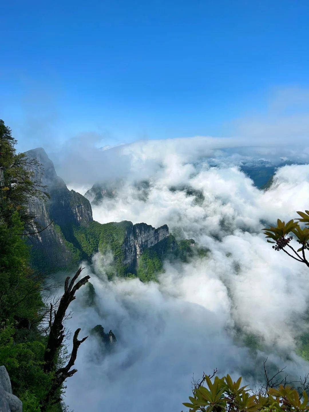 去哪里旅游比较好玩_十月1日去哪里旅游比较好玩