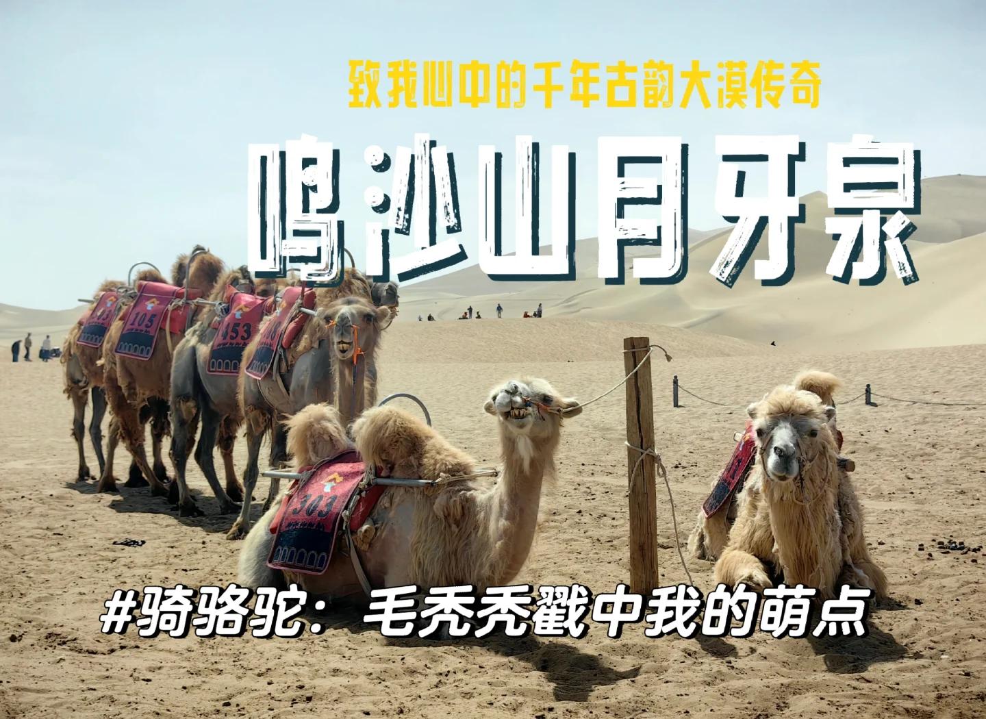 鸣沙山旅游攻略_鸣沙山旅游攻略图