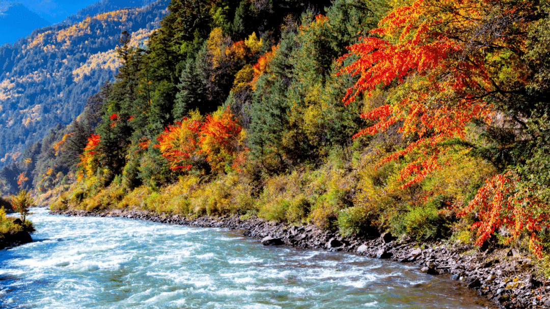 米亚罗旅游_米亚罗旅游最佳时间 米亚罗旅游_米亚罗旅游最佳时间