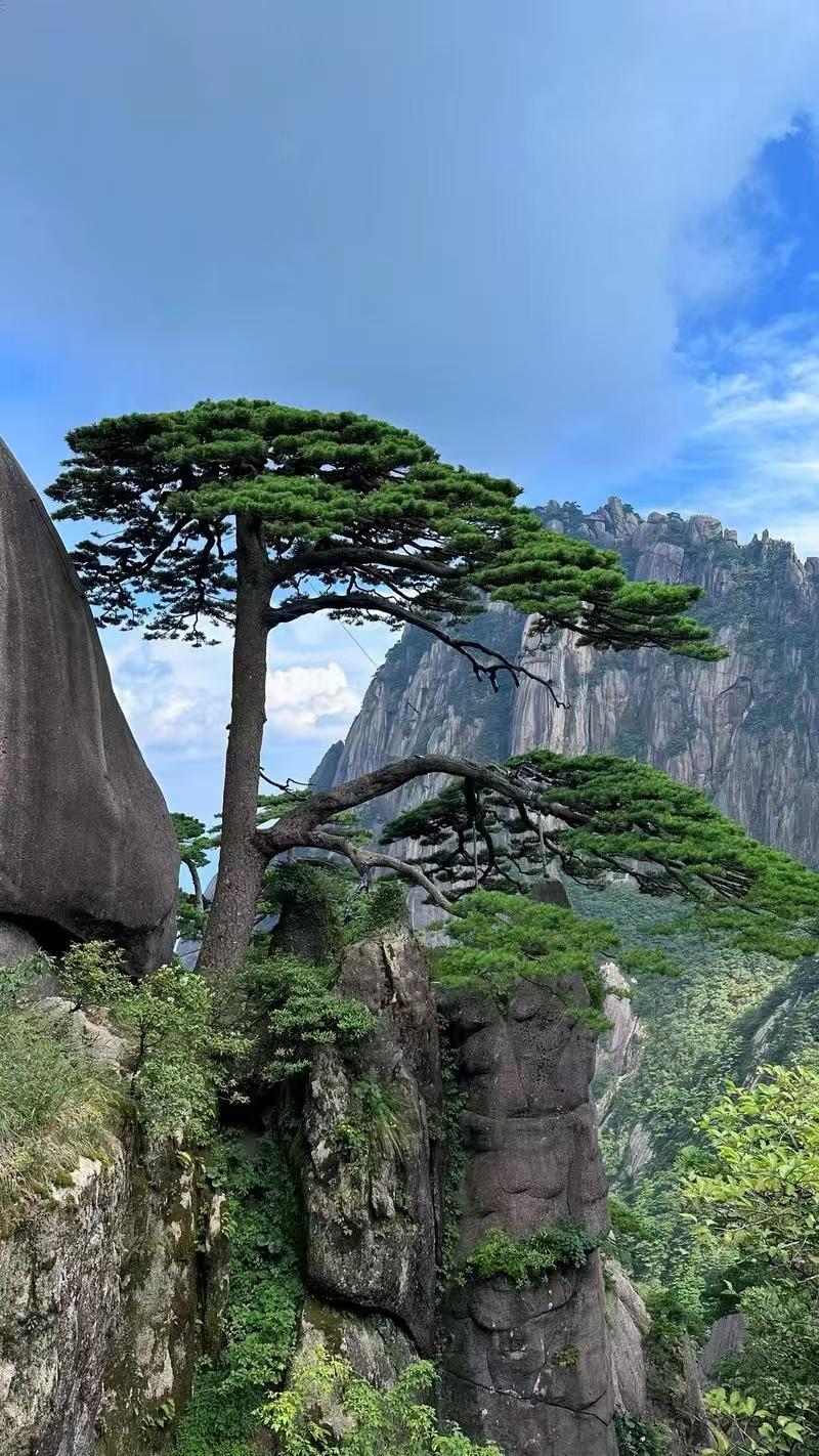 黄山市旅游景点_黄山市旅游必去十大景点推荐