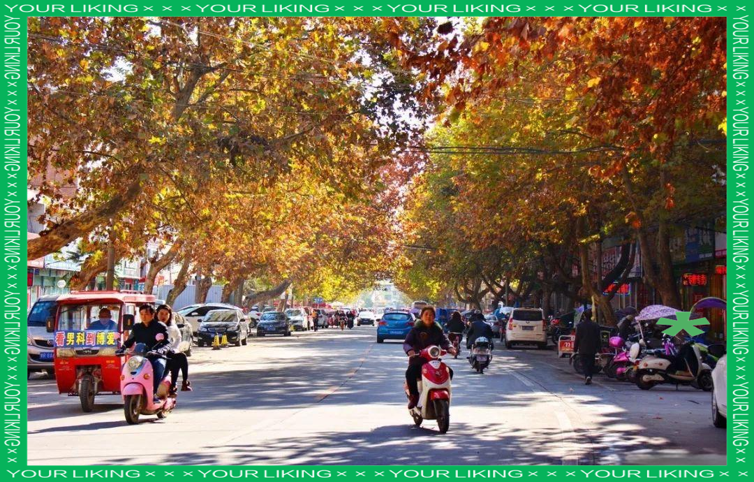 内乡旅游_内乡旅游团