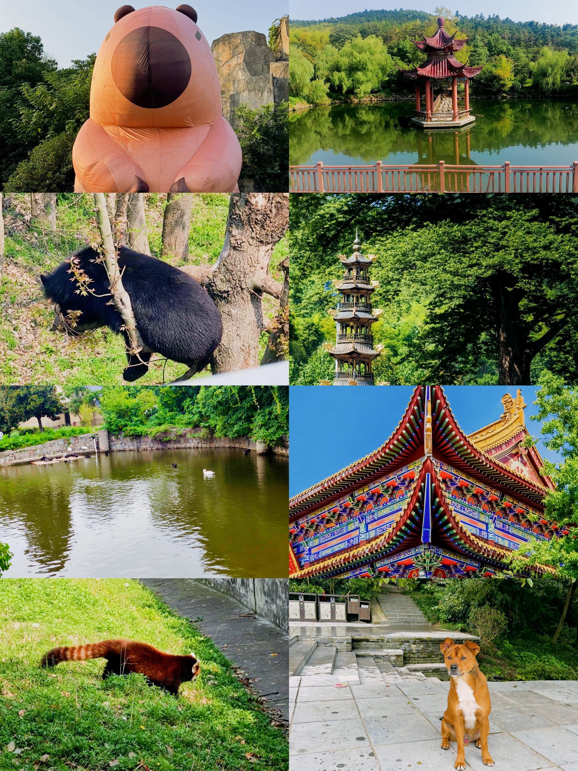 合肥旅游_合肥旅游文案