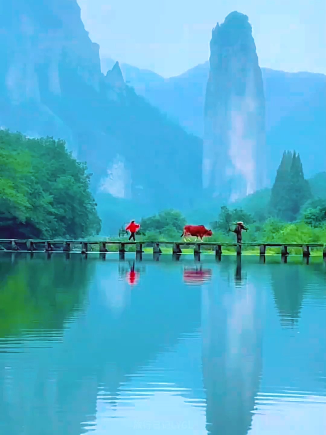 丽水旅游景点大全_丽水市景区旅游景点 丽水旅游景点大全_丽水市景区旅游景点