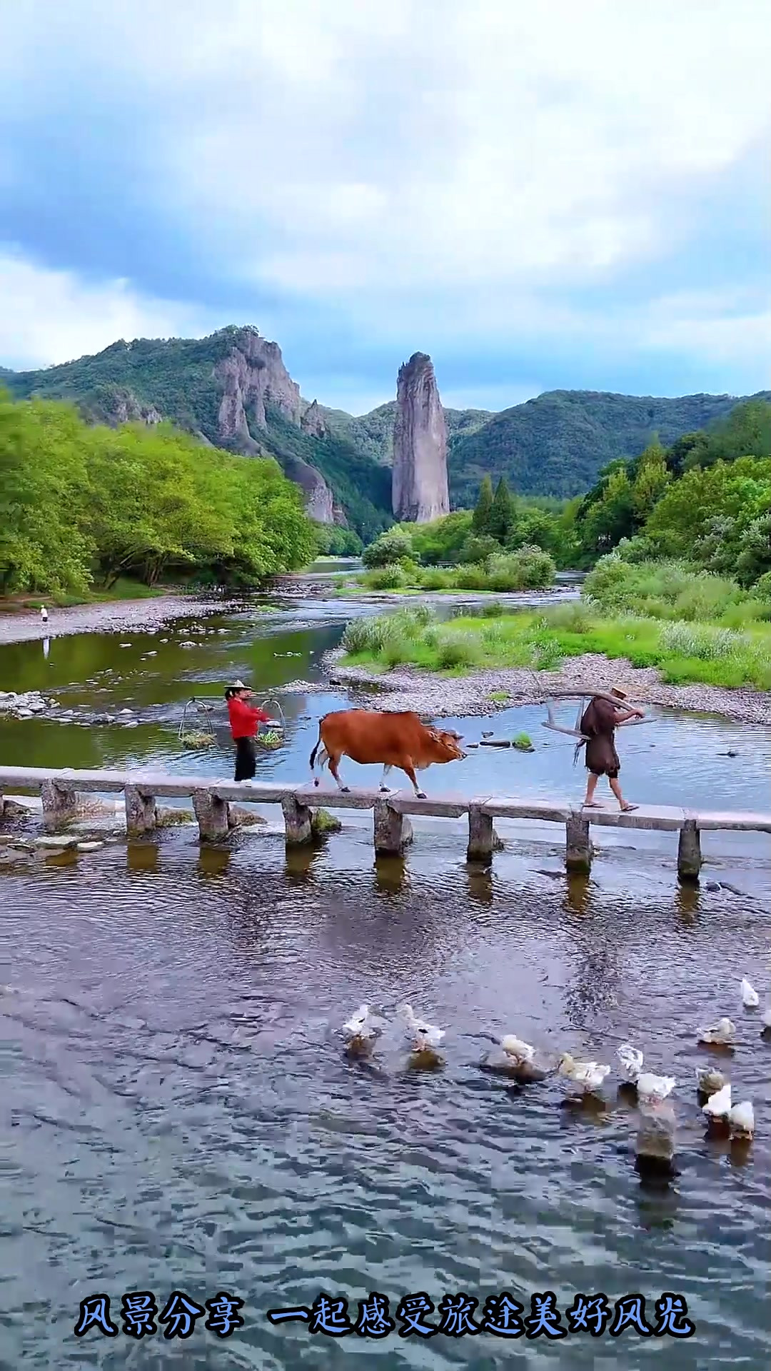 丽水旅游景点大全_缙云丽水旅游景点大全 丽水旅游景点大全_缙云丽水旅游景点大全