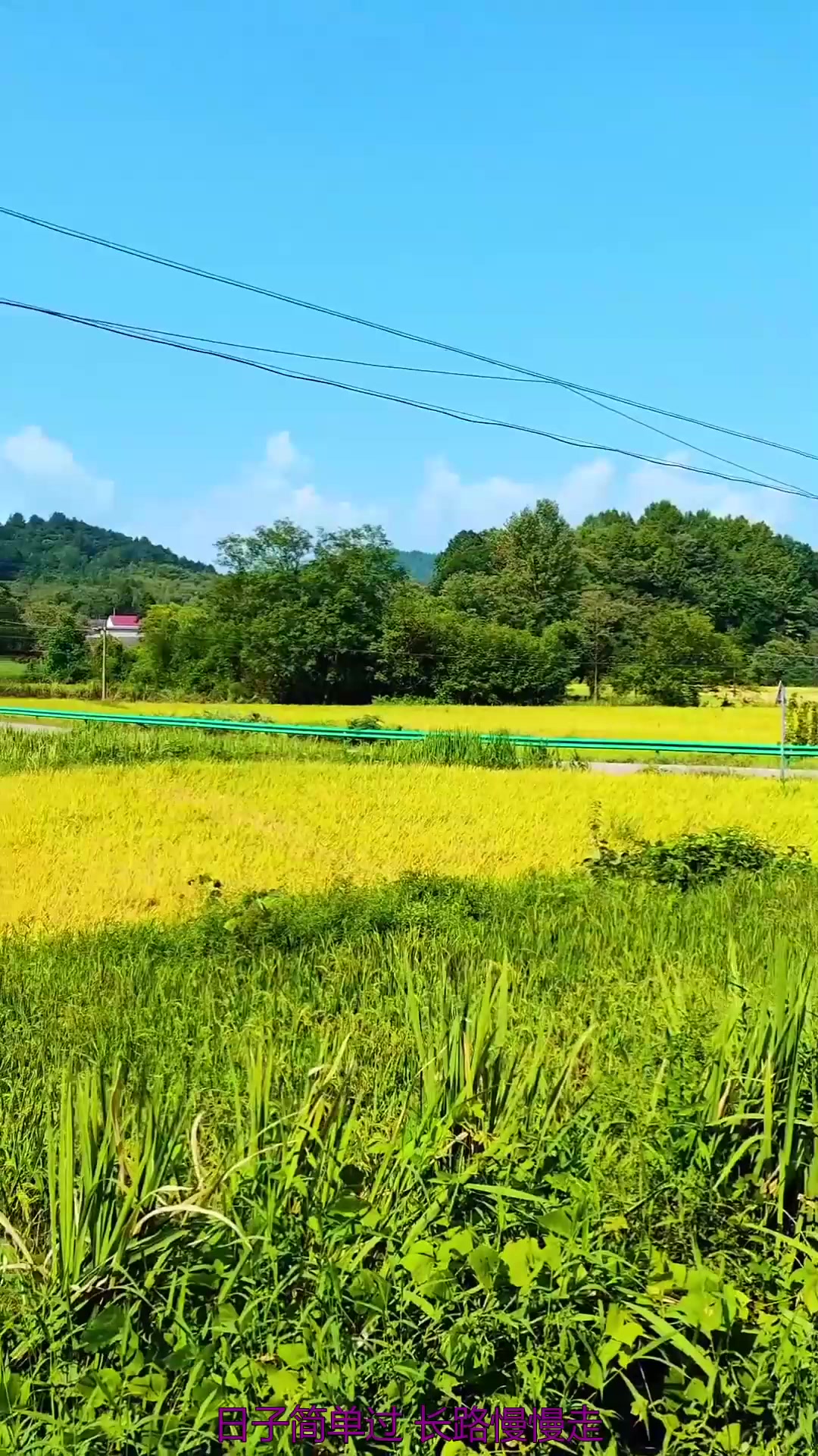 农村旅游_乡村旅游的概念 农村旅游_乡村旅游的概念